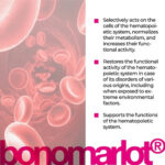 Bonomarlot A-20 Bone Marrow Peptide Bioregulator (Capsules) - Image 2
